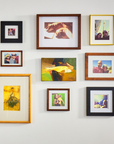 Pro Safety Picture Hanging Kit