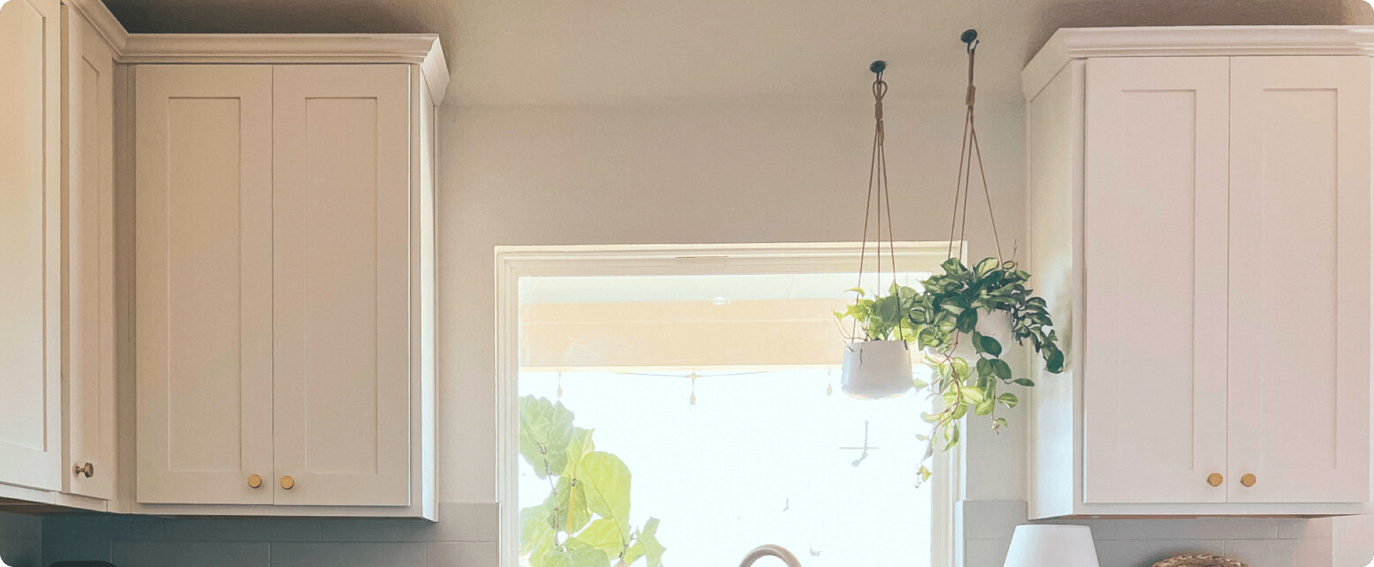 How to Hang Plants From the Ceiling {It's Easy, I Promise!}