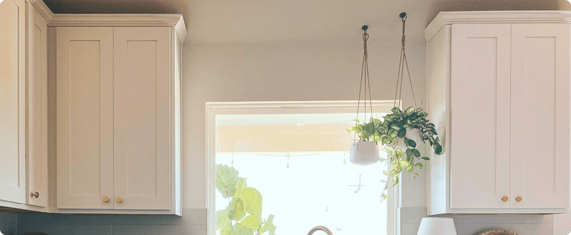 How to Hang Plants From the Ceiling {It's Easy, I Promise!}