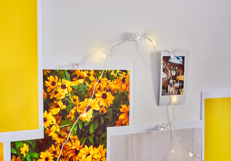 How to Decorate Your College Apartment with the OOK Lightweight Décor Kit